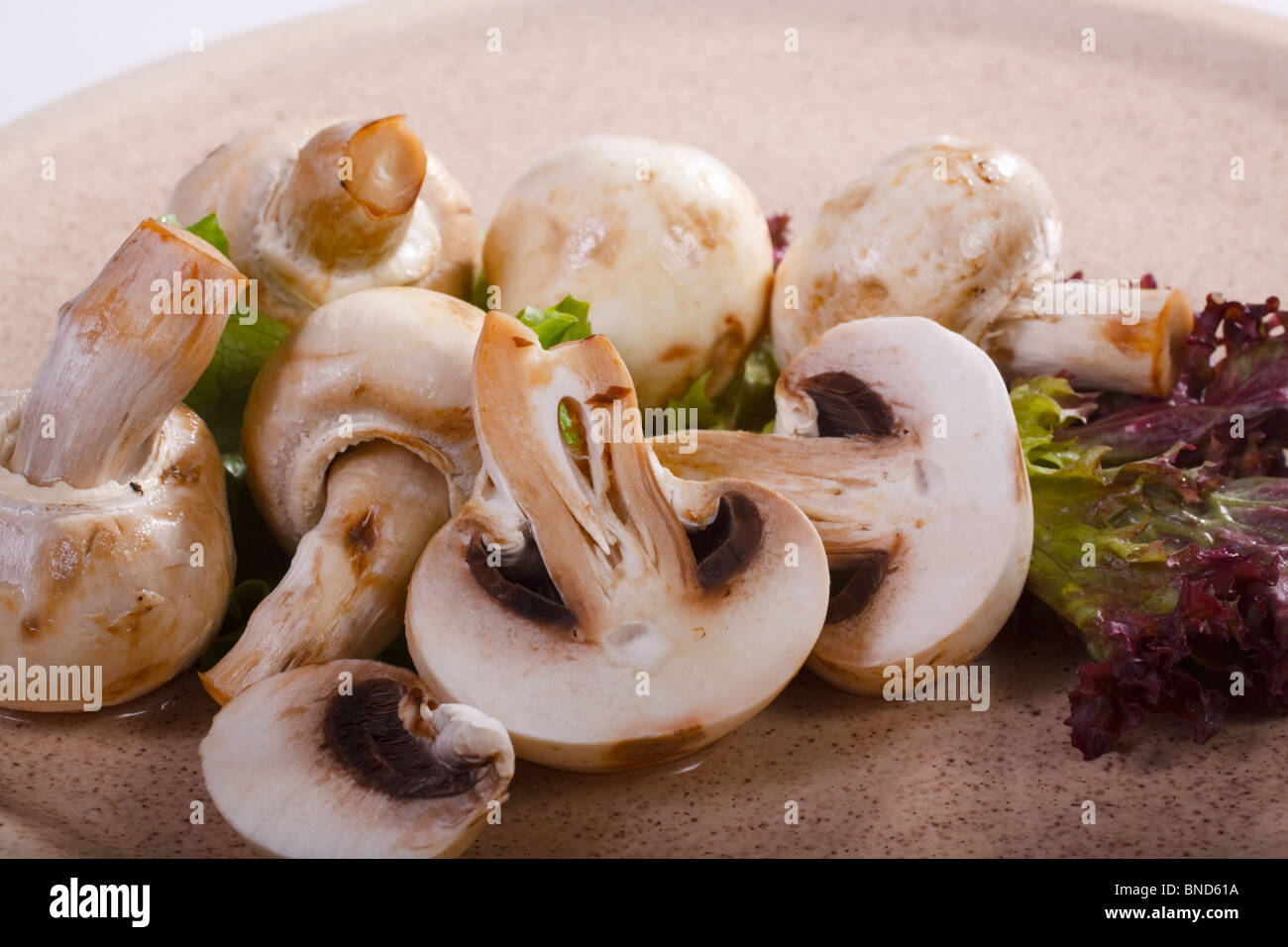 Intero e pulsante a fette o il bianco di funghi. Agaricus bisporus. Foto Stock
