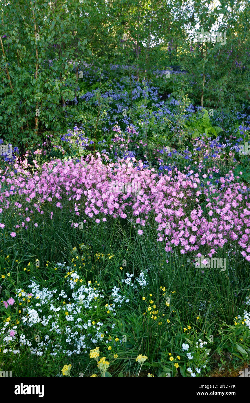 Una fauna selvatica e delle paludi di prato di fiori selvaggi Foto Stock