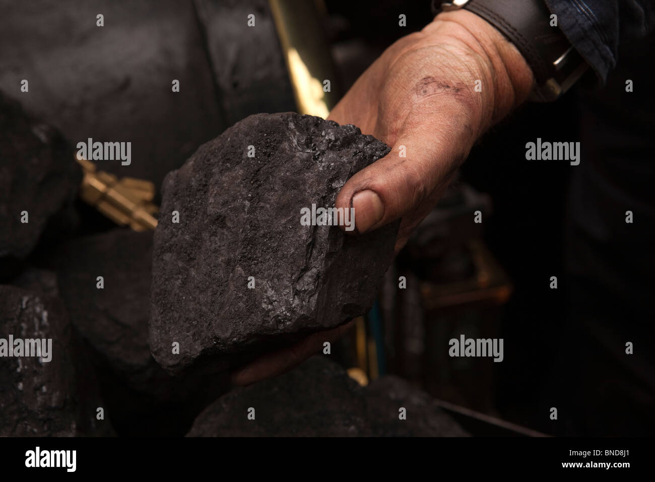 Regno Unito, Galles, Snowdonia, Llanberis Lake Railway, treno a vapore conducente titolare pezzo di carbone in mano sporca Foto Stock
