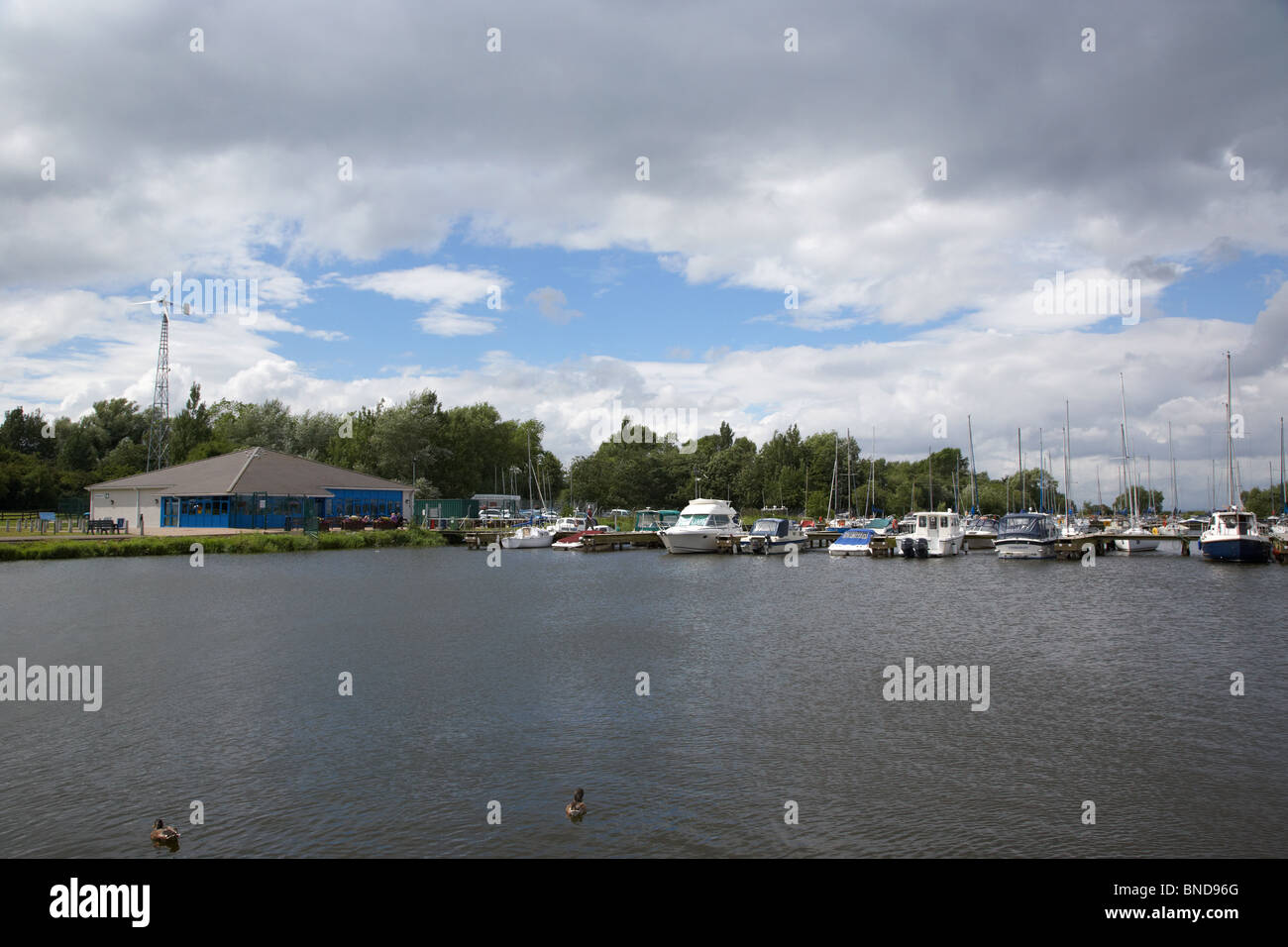 Marina kinnego craigavon nella contea di Armagh nell'Irlanda del Nord Regno Unito Foto Stock