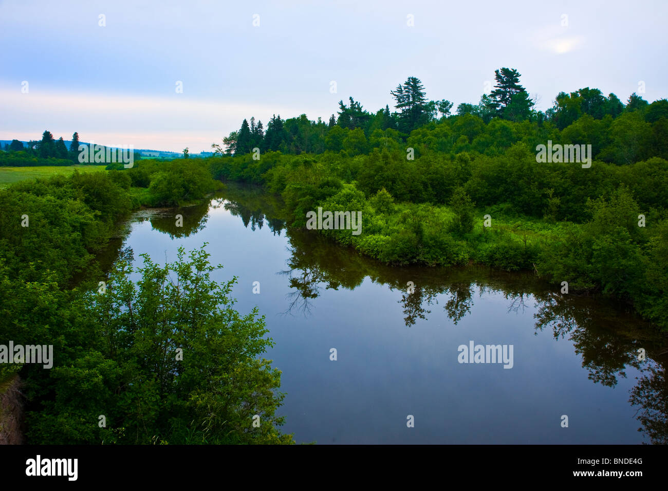 Un tranquillo laghetto di acqua Foto Stock