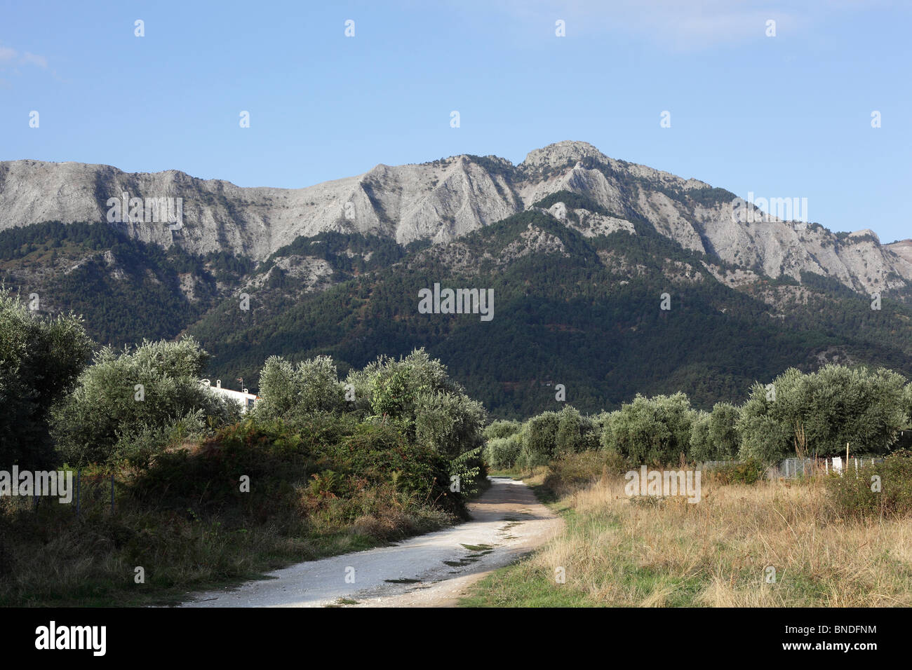 Ypsarion da Skala Potamias, Thassos, Grecia, settembre 2009 Foto Stock