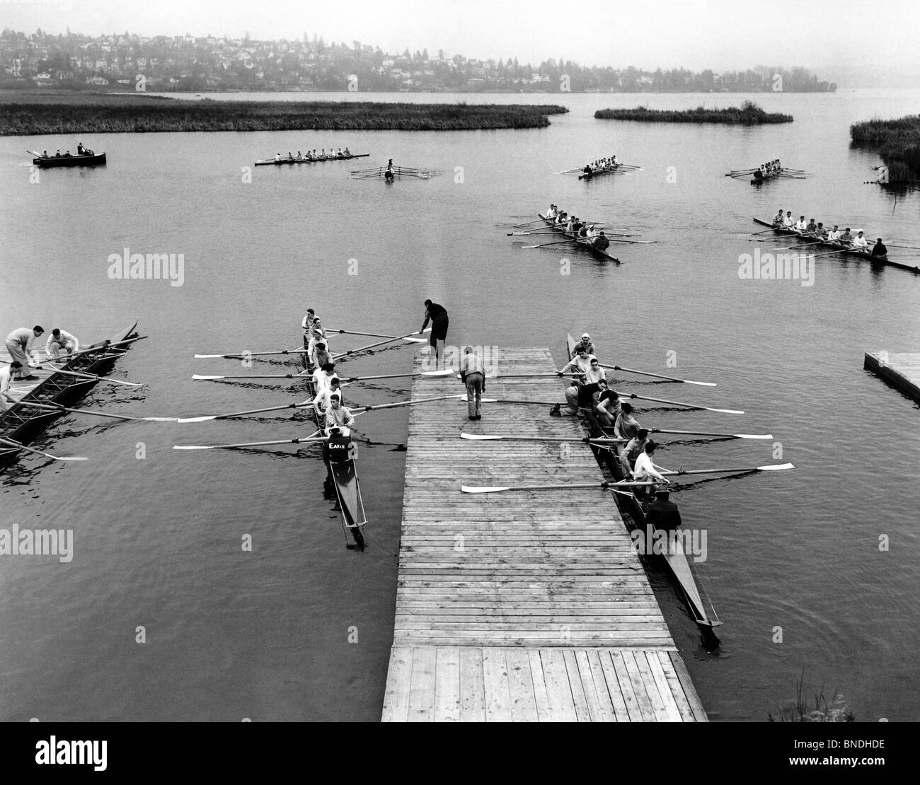 Angolo di alta vista di imbarcazioni a remi in una sweep gara a remi, il Lago Washington, Washington, Stati Uniti d'America Foto Stock