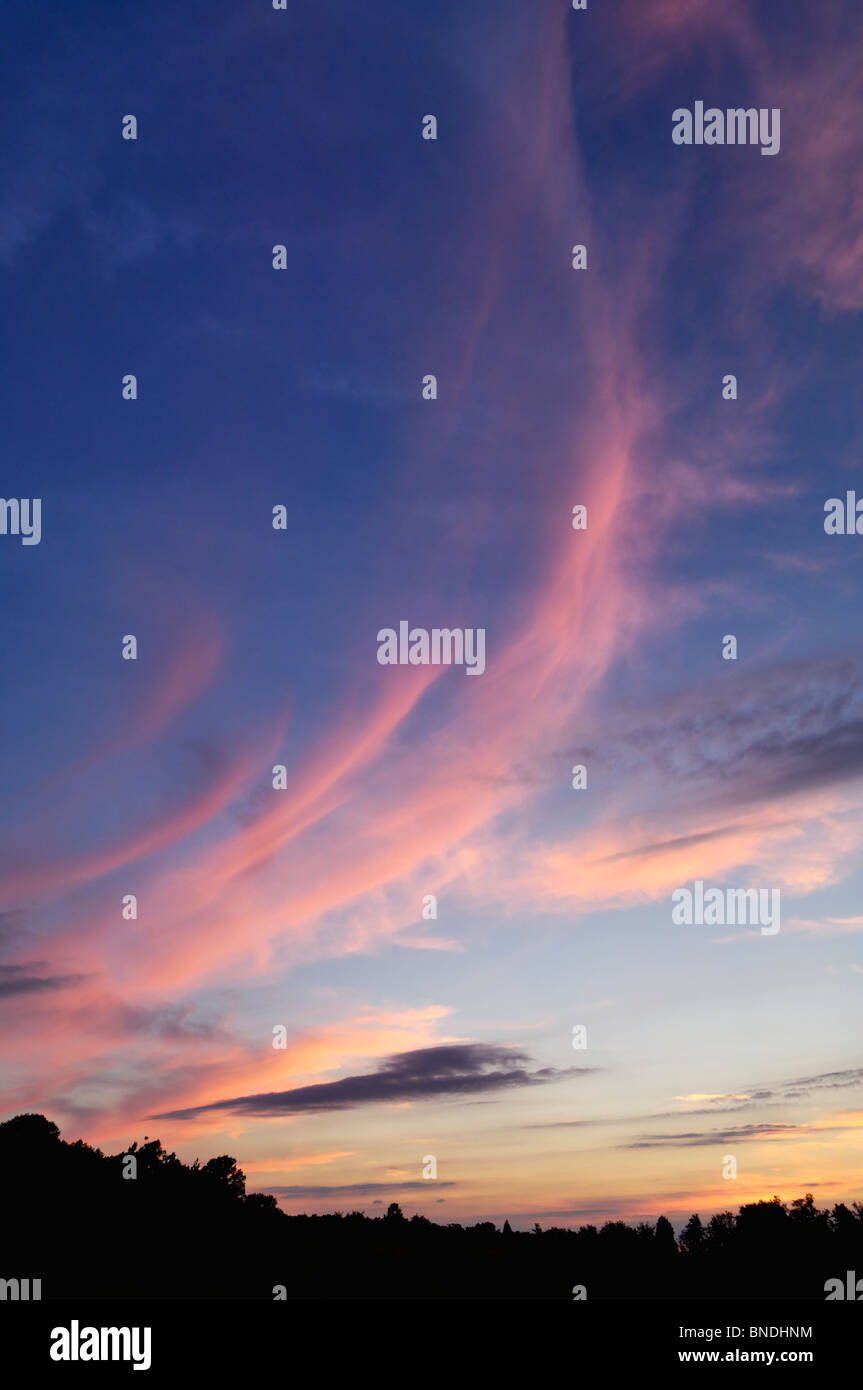 Cirrus nuvole al tramonto in Floyd County, Indiana Foto Stock