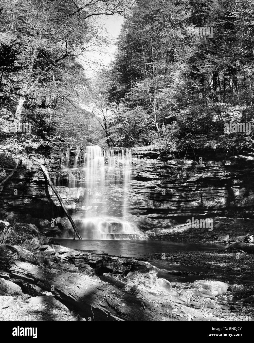 Stati Uniti d'America, Pennsylvania, Ricketts Glen State Park, cascata Foto Stock