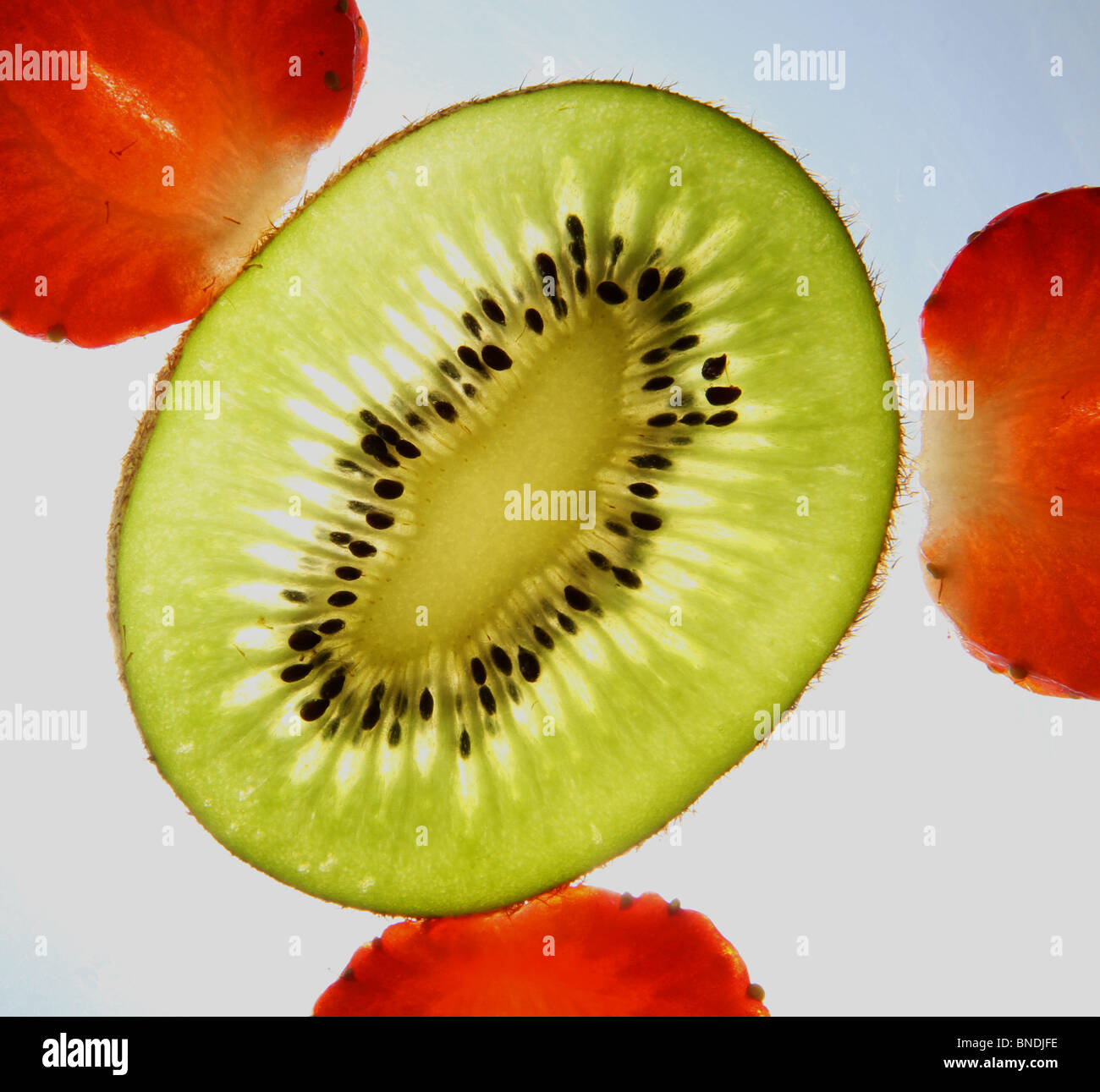 Fetta di Kiwi circondato da tre fette di fragole. Illuminato dal di sotto per creare un effetto a raggiera. Foto Stock
