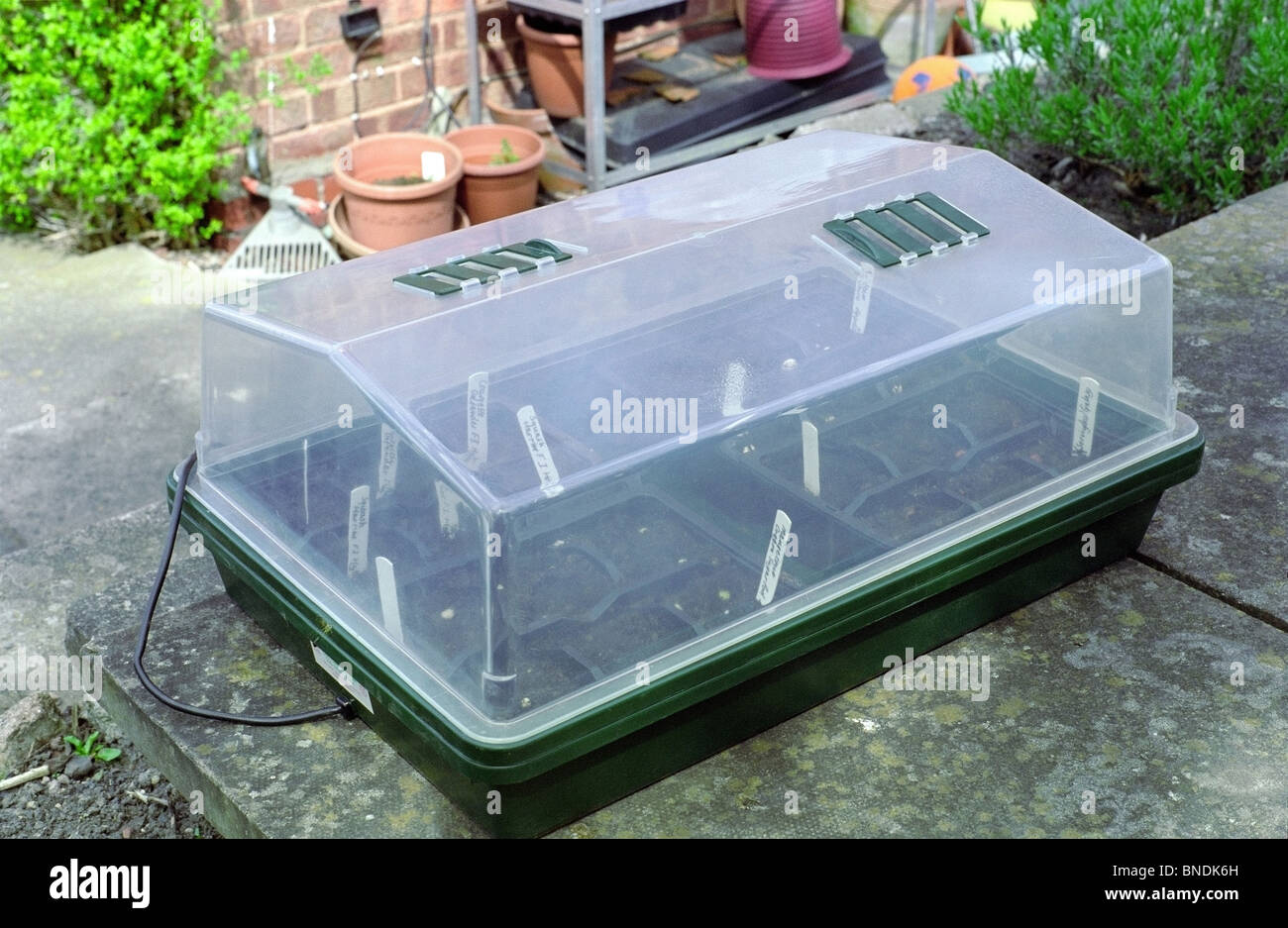 Impianto elettrico il propagatore con seminiere all'interno Foto Stock