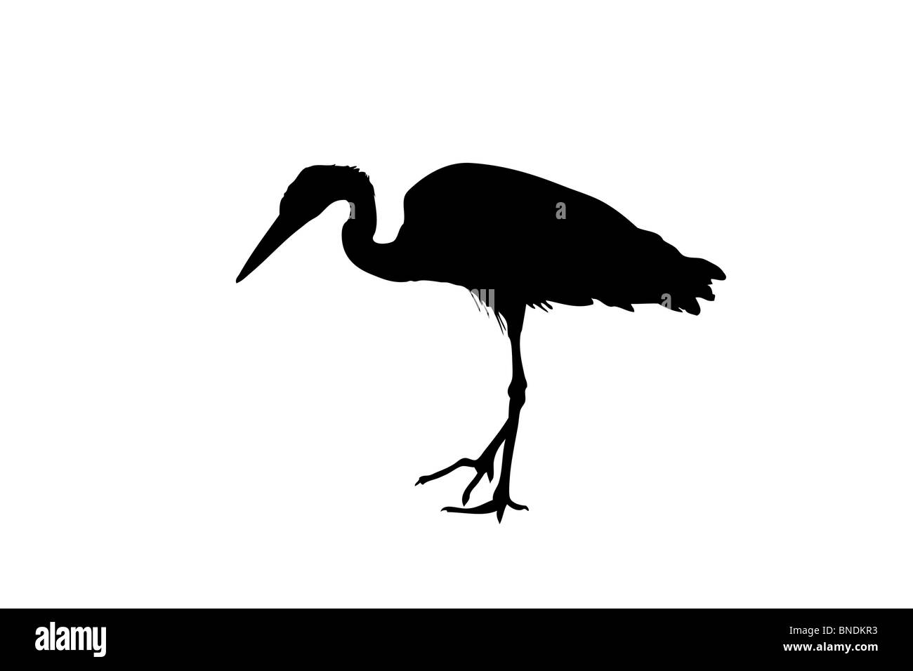 Una silhouette di un airone Foto Stock