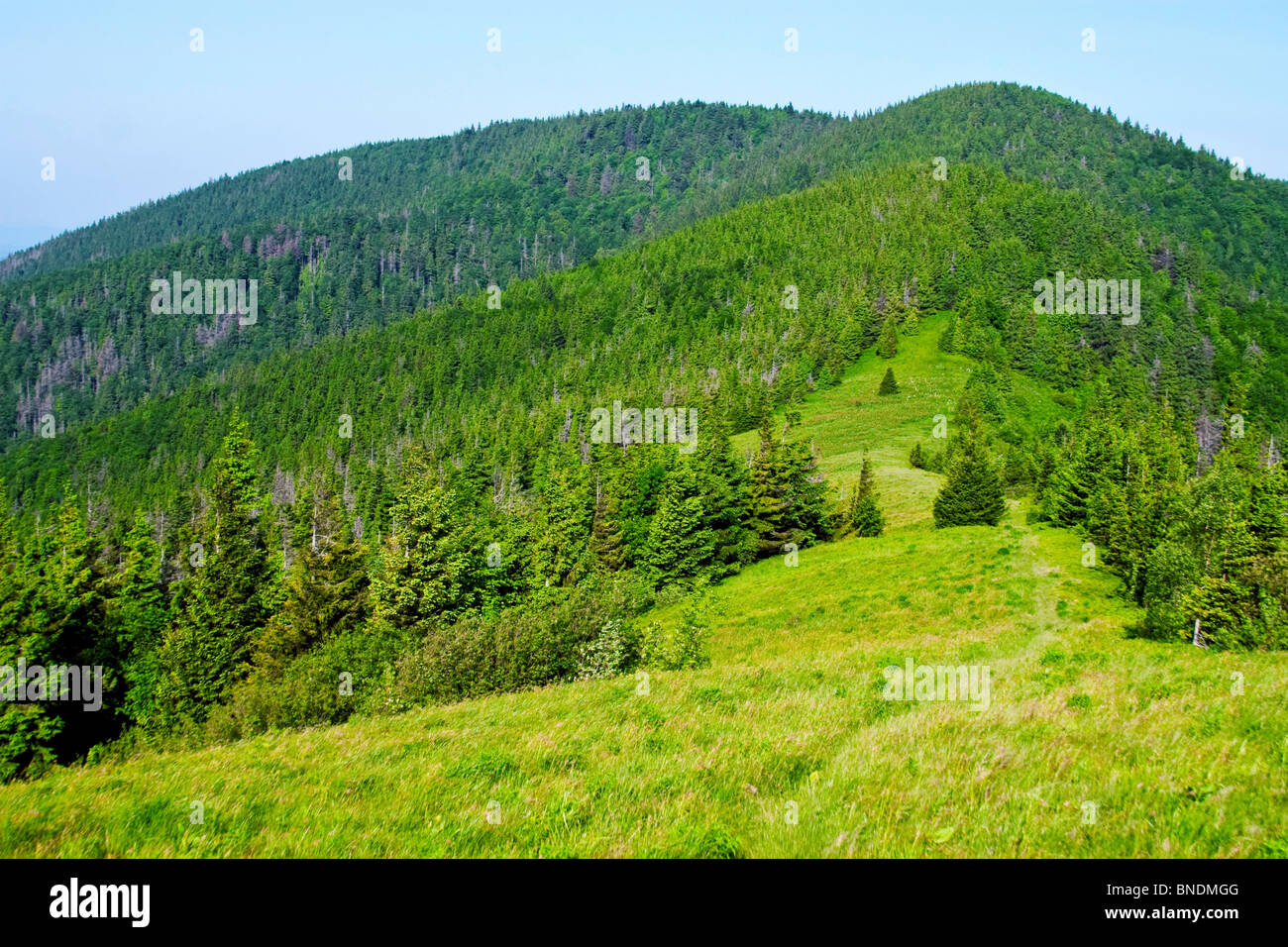 Green Mountain View Foto Stock