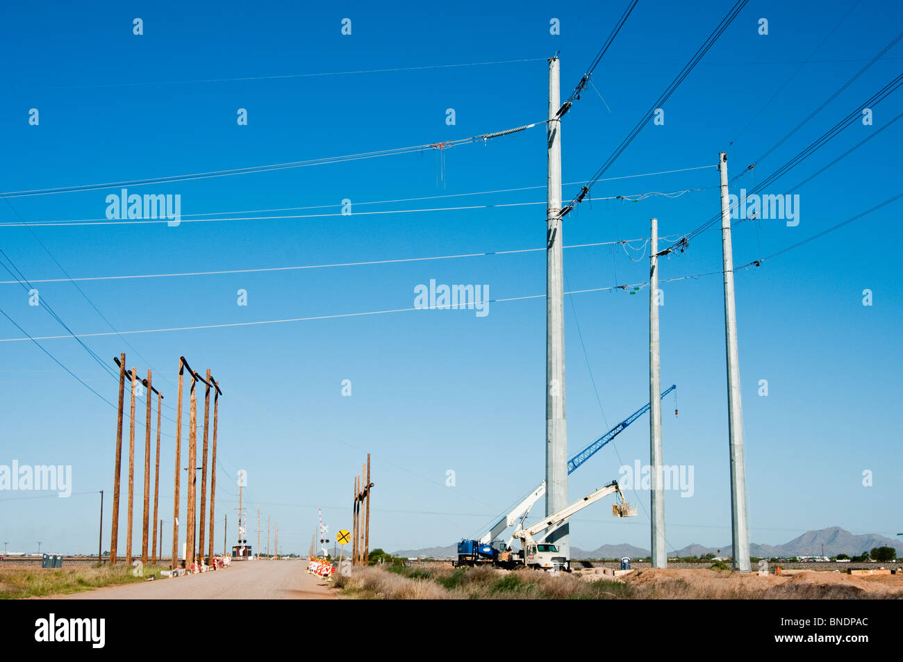 Grande potenza di nuovi poli sono predisposte per le linee di trasmissione in Pinal County, Arizona. Foto Stock