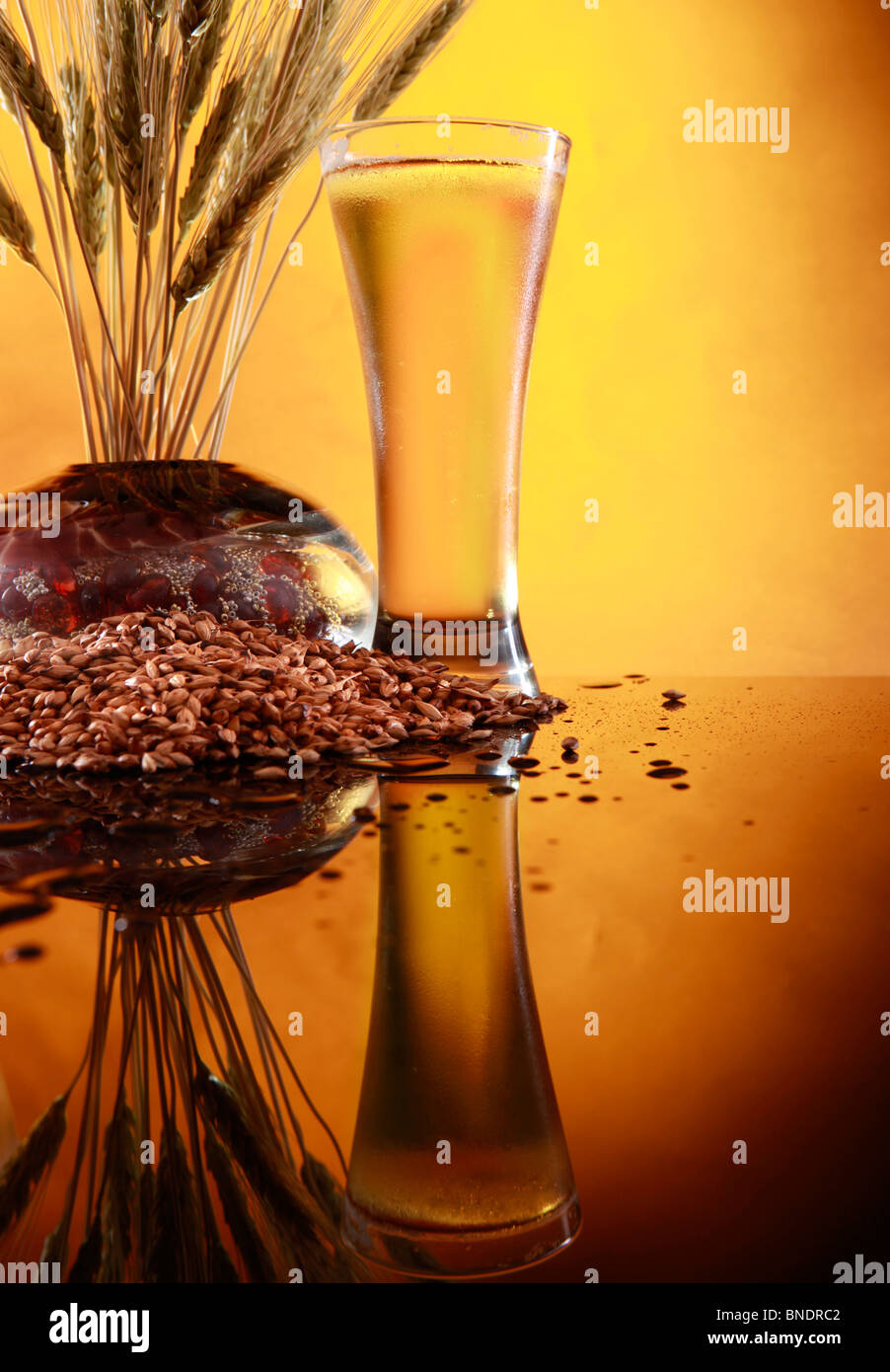 Tall birra fresca con frumento e orzo grani Foto Stock