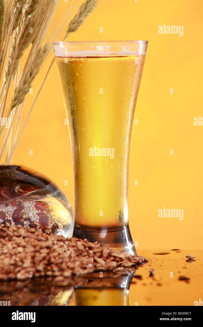 Tall birra fresca con frumento e orzo grani Foto Stock