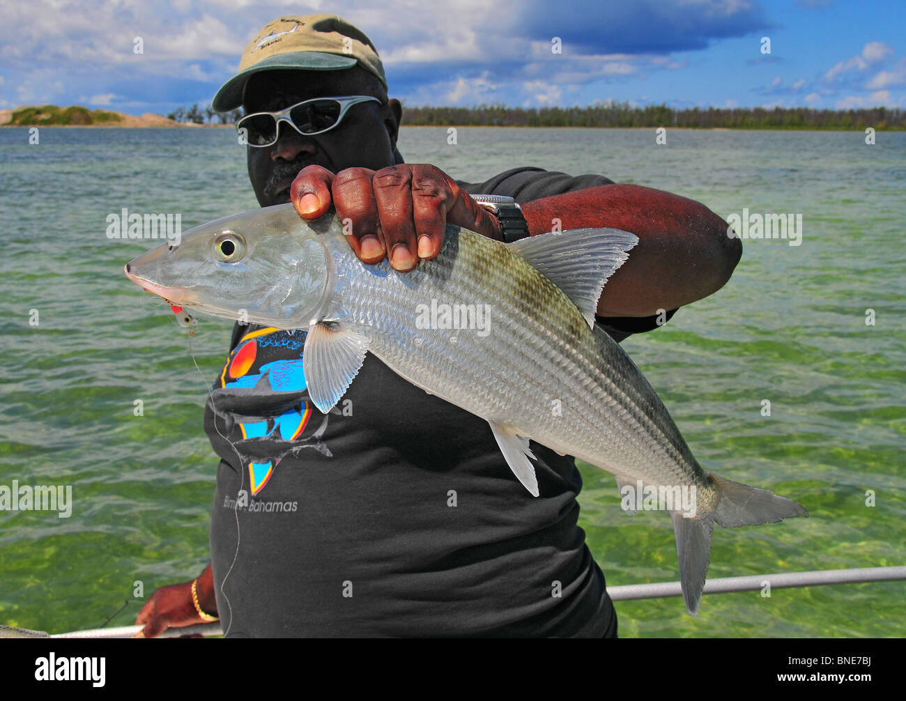 Un Caraibi bonefish che si nutre di granchi e/o gamberetti Nello shallow saltwater flats in tutto i tropichi cresce rapidamente. Foto Stock