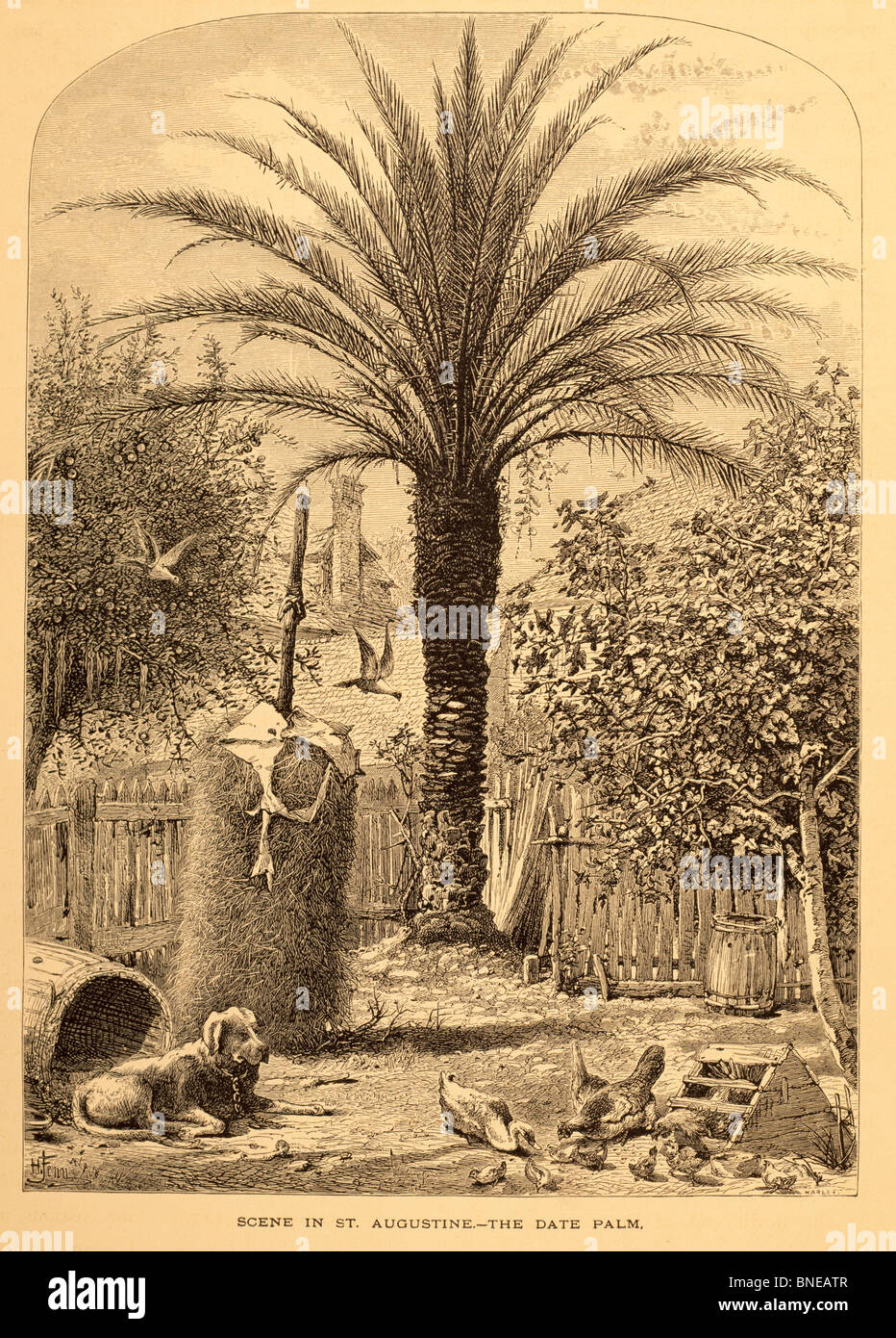 Scena di sant Agostino, data Palm da un artista sconosciuto Foto Stock