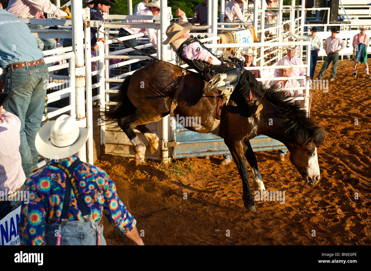 Cowboy membro di PRCA Rodeo sta cercando di equilibrio stesso sul cavallo in Smalltown Bridgeport, Texas Foto Stock