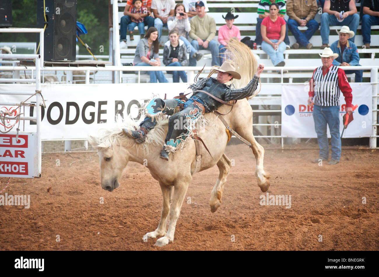 Cavallo gettando rodeo cowboy membro di PRCA dalla sua parte posteriore in Texas Smalltown Bridgeport, STATI UNITI D'AMERICA Foto Stock