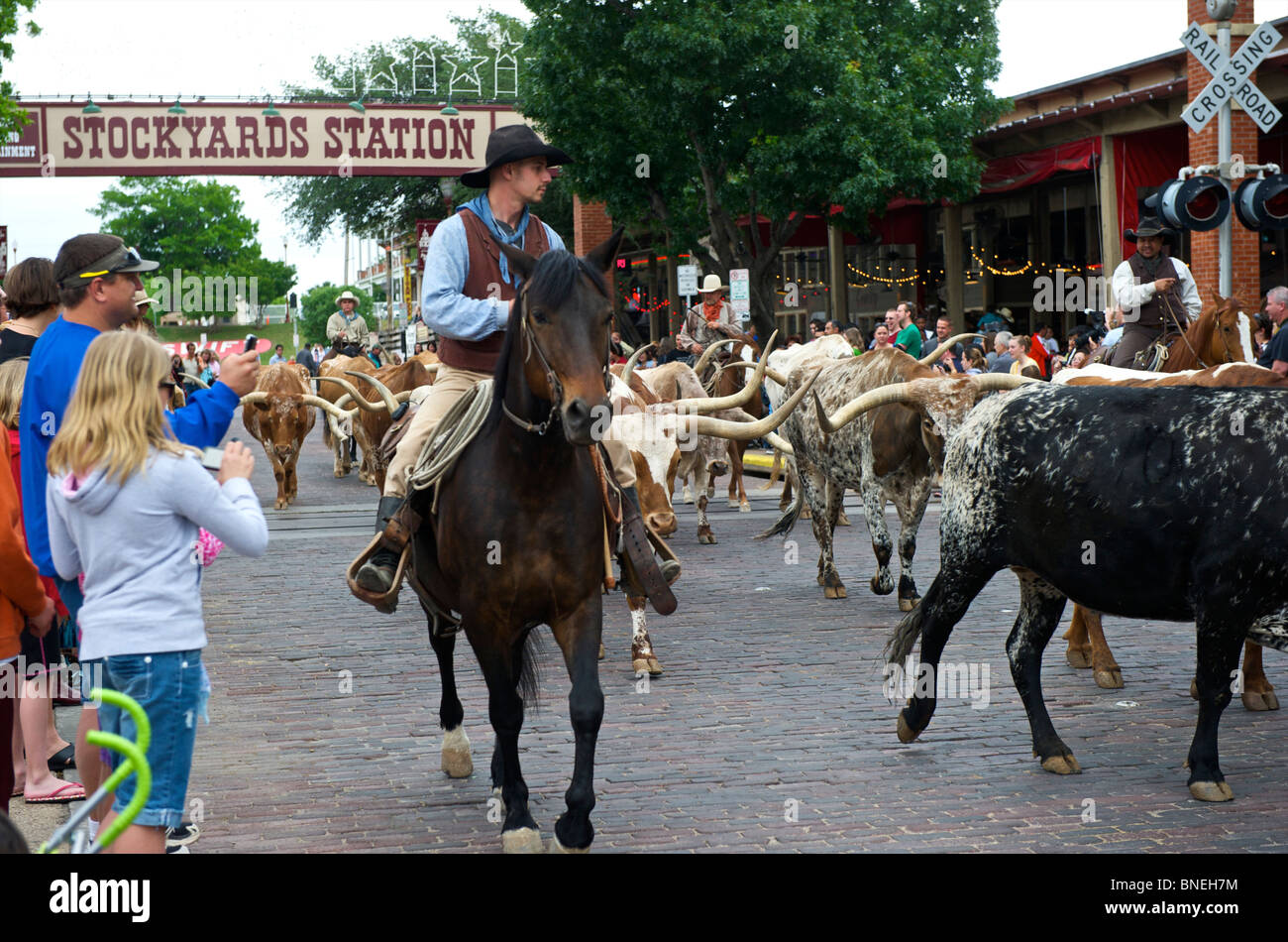 Giocatori del Longhorn e cowboy camminando sulla strada a Stockyards station a Fort Worth, Texas, Stati Uniti d'America Foto Stock