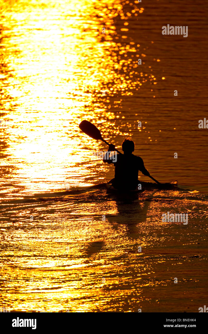 Kayaker le piastre sul Lago Lady Bird vicino al centro cittadino di Austin, Texas, Stati Uniti d'America, al tramonto di un inizio serata d'estate. Foto Stock