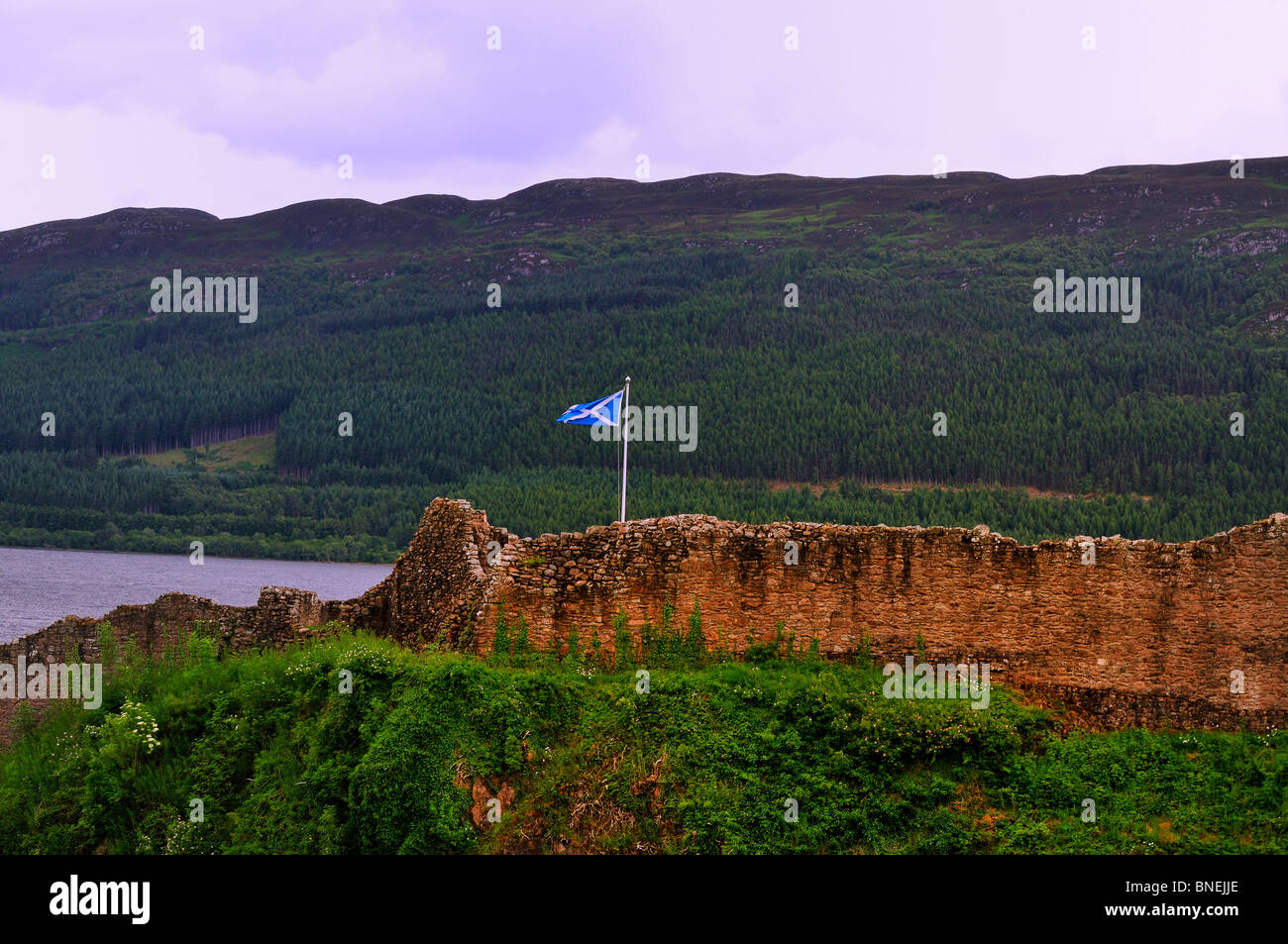 La bandiera scozzese, (una si intraversa, Saint Andrew's Cross, O crux decussata) vola sopra le rovine del castello di Urquhart Da Loch Ness Foto Stock