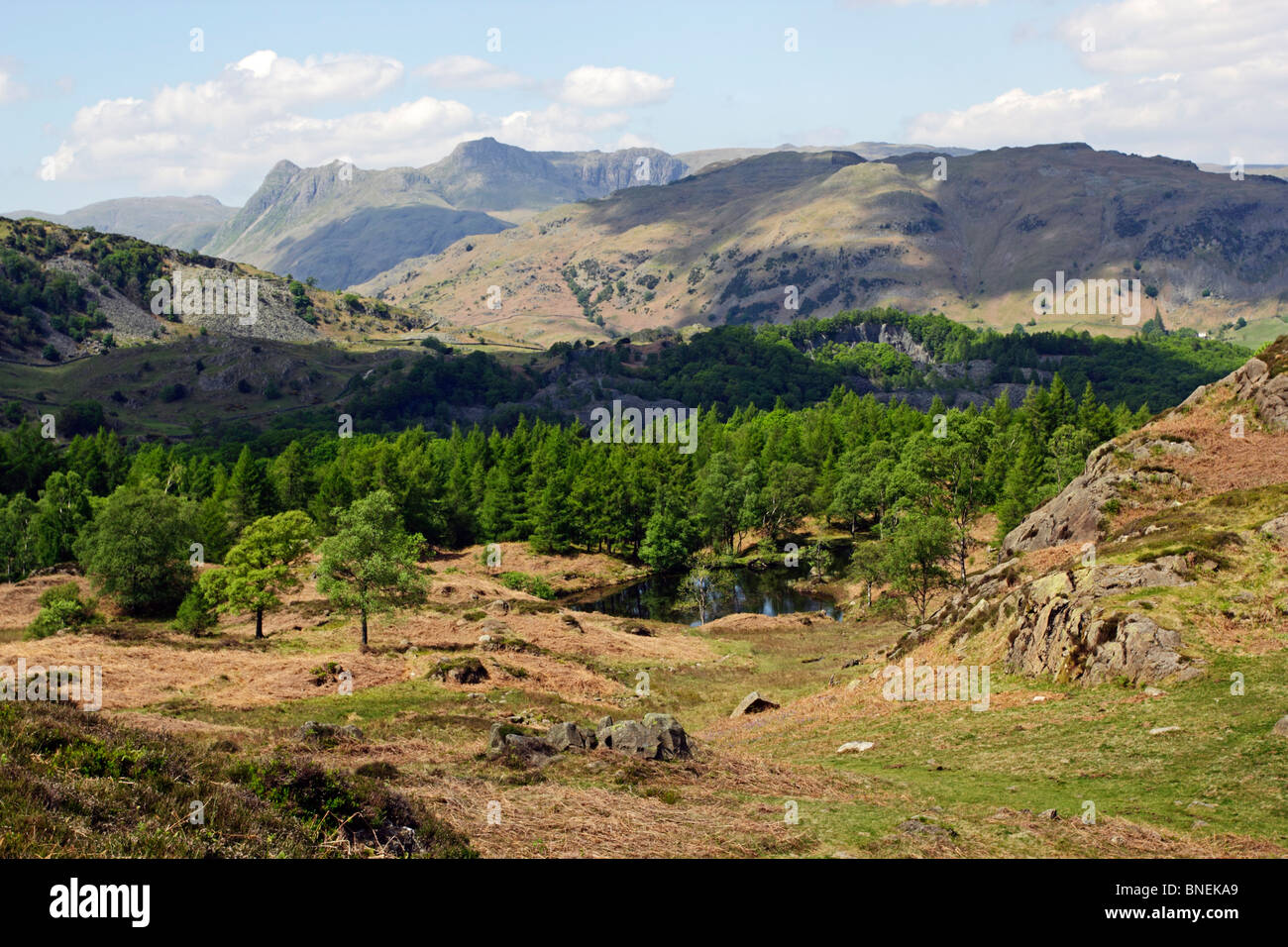 The Langdale Pikes da Holme cadde vicino a Coniston nel Parco Nazionale del Distretto dei Laghi, Cumbria. Foto Stock