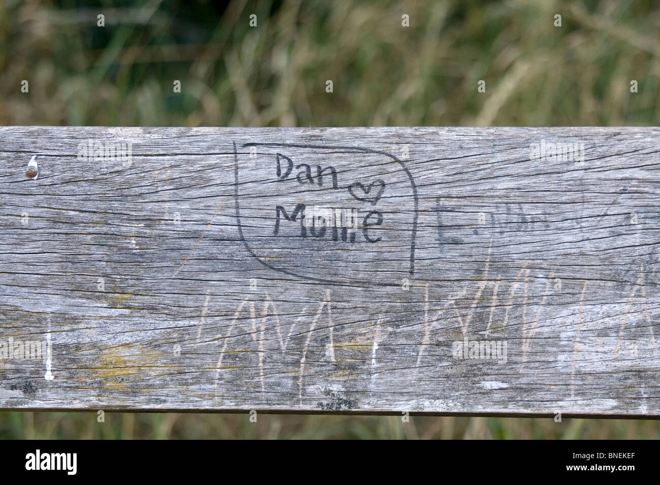 Graffiti su una panchina nel parco di Lloyd, Croydon, Inghilterra. Foto Stock