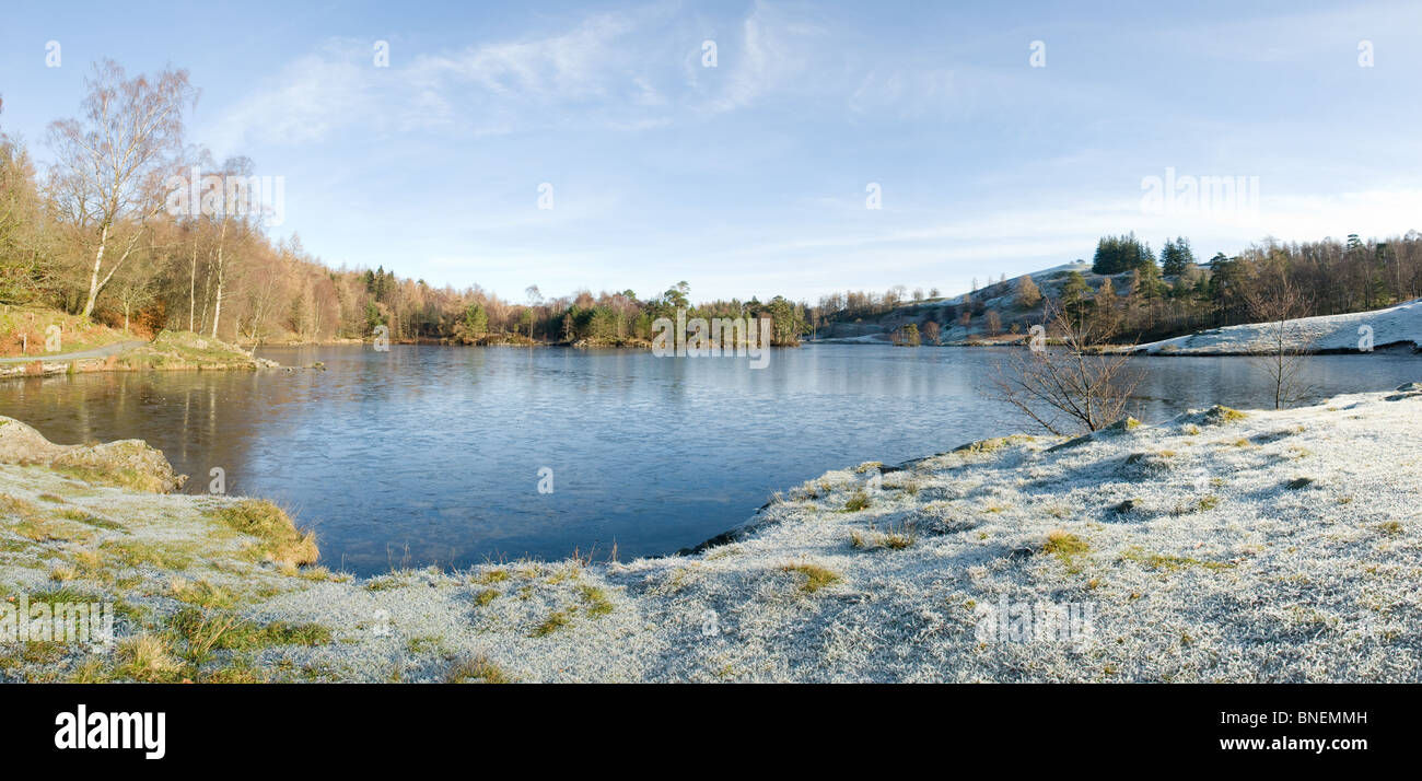 Tarn Hows Lake District Foto Stock