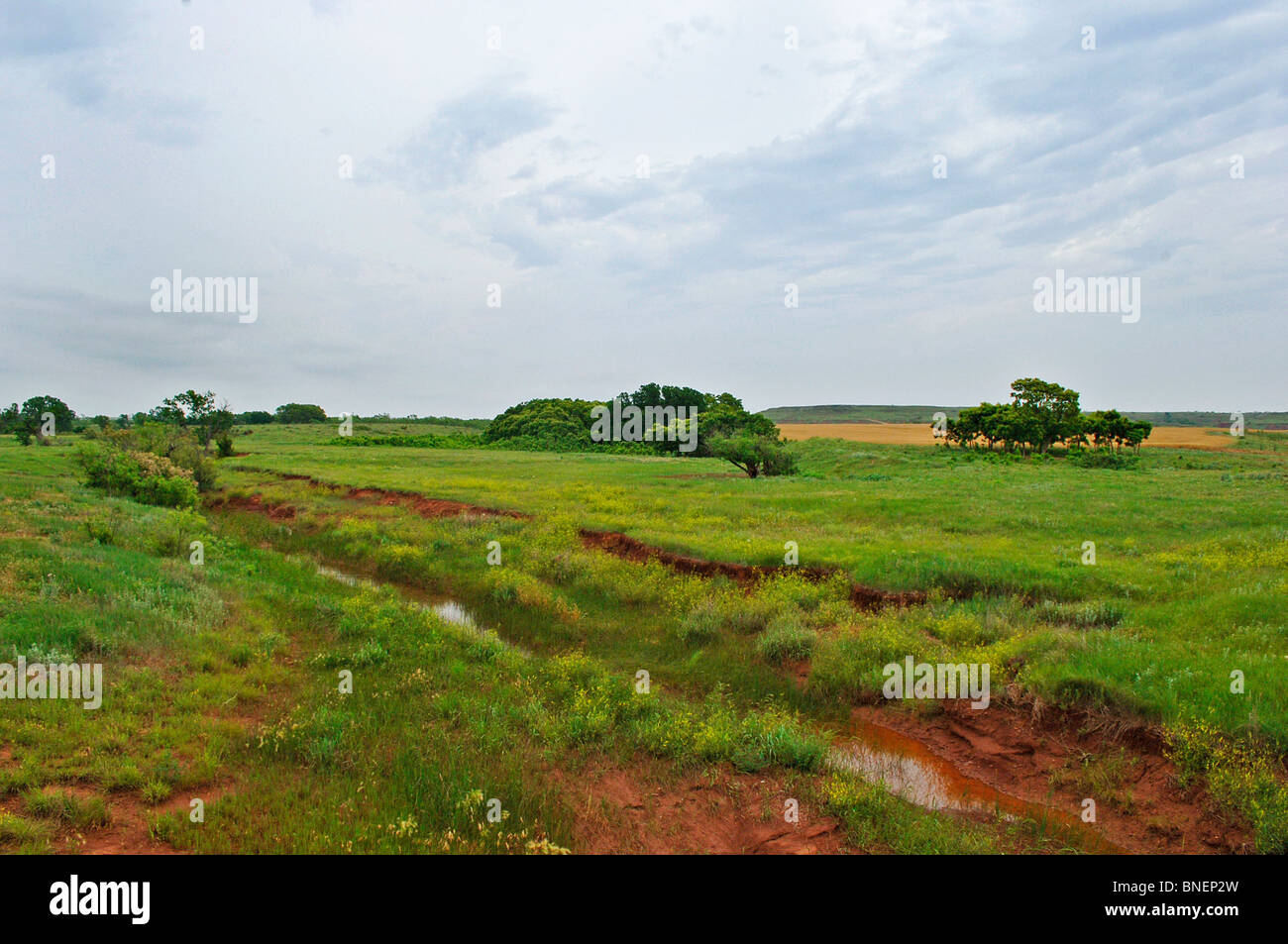 Noi heartland include, farmscapes, ranch terra, strade polverose, erba terre, bovini, cavalli, argilla rossa, rosso sporco e aree desolate Foto Stock