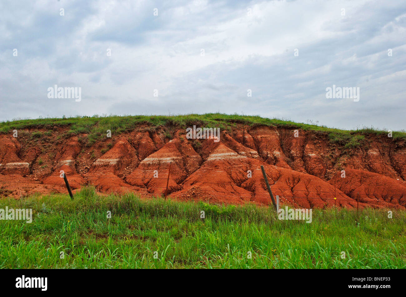 Noi heartland include, farmscapes, ranch terra, strade polverose, erba terre, bovini, cavalli, argilla rossa, rosso sporco e aree desolate Foto Stock