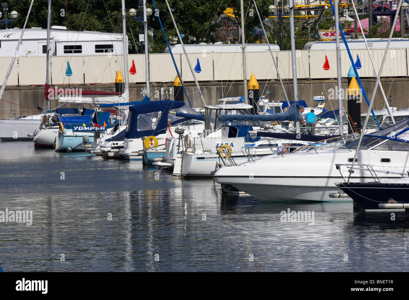 Yacht e barche ormeggiate in bangor marina contea di Down Irlanda del Nord Regno Unito Foto Stock Yacht e barche ormeggiate in bangor marina contea di Down Irlanda del Nord Regno Unito Foto Stock