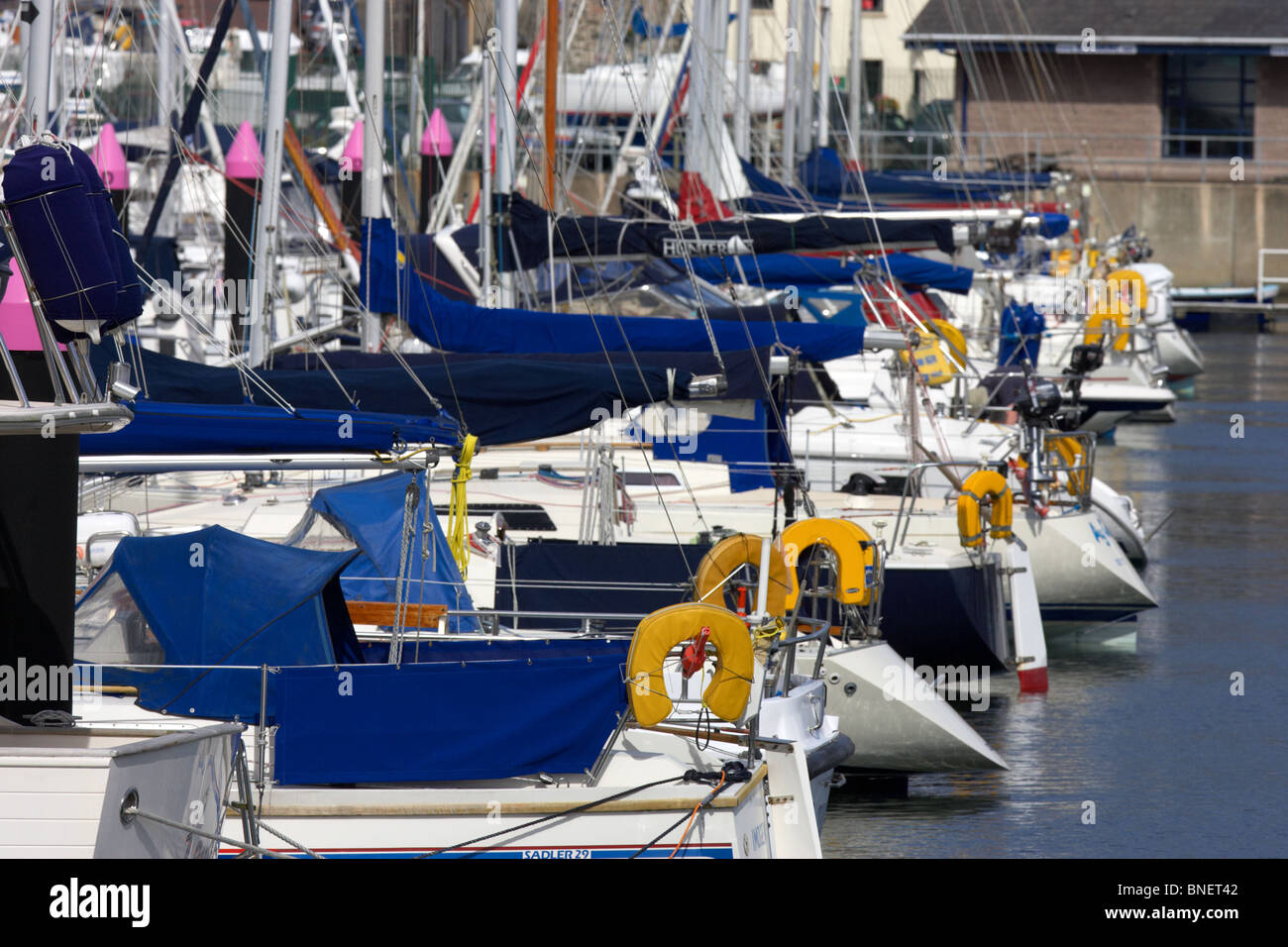 Parte posteriore di yacht e barche ormeggiate in bangor marina contea di Down Irlanda del Nord Regno Unito Foto Stock