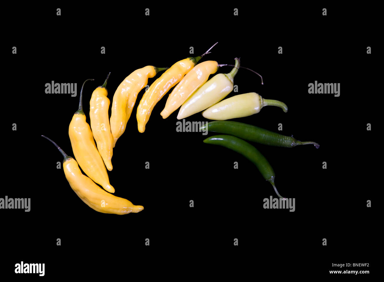 Chilli Peppers Foto Stock