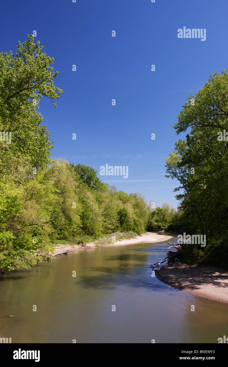Forcella centrale del fiume vermiglio in primavera. Stato Kickapoo Park, Illinois Foto Stock