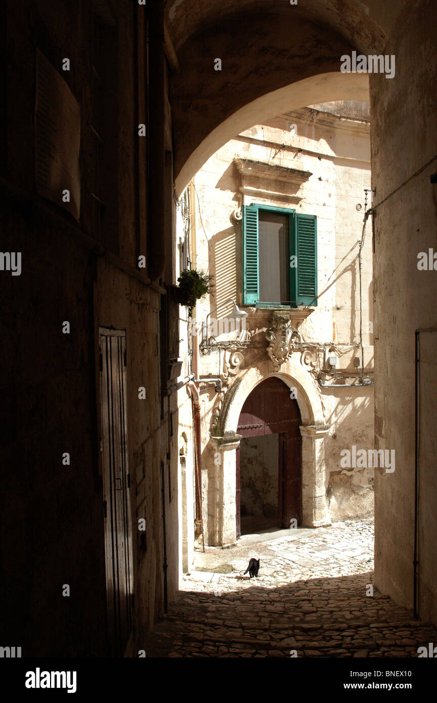 Vicolo soleggiato con un gatto in Matera Basilicata Italia. Foto Stock