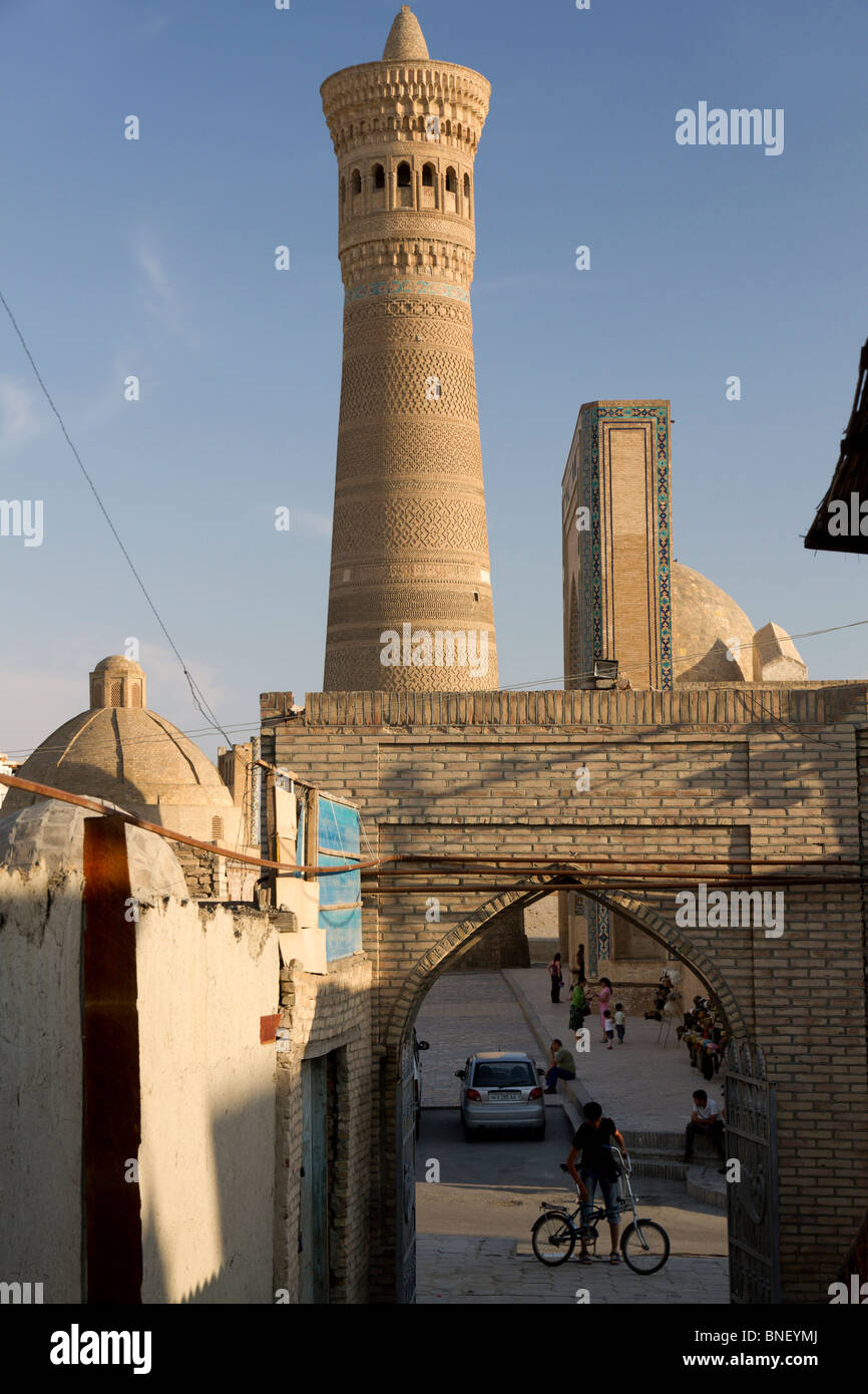 Minareto Kalon torreggia su antiche strade di Bukhara lungo la Via della Seta Foto Stock