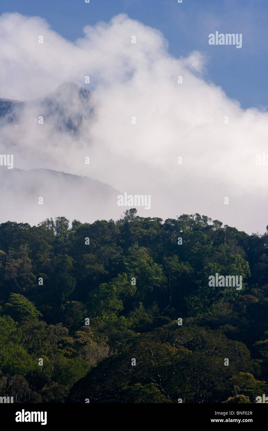 Vista del Monte Kinabalu, Sabah, Malaysia Foto Stock