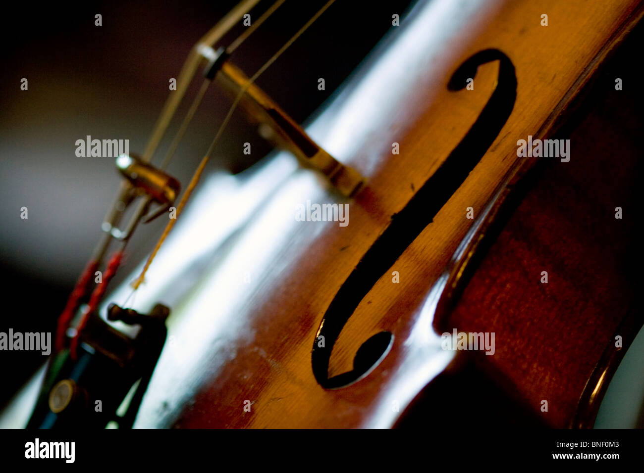 Un antico violino Foto Stock