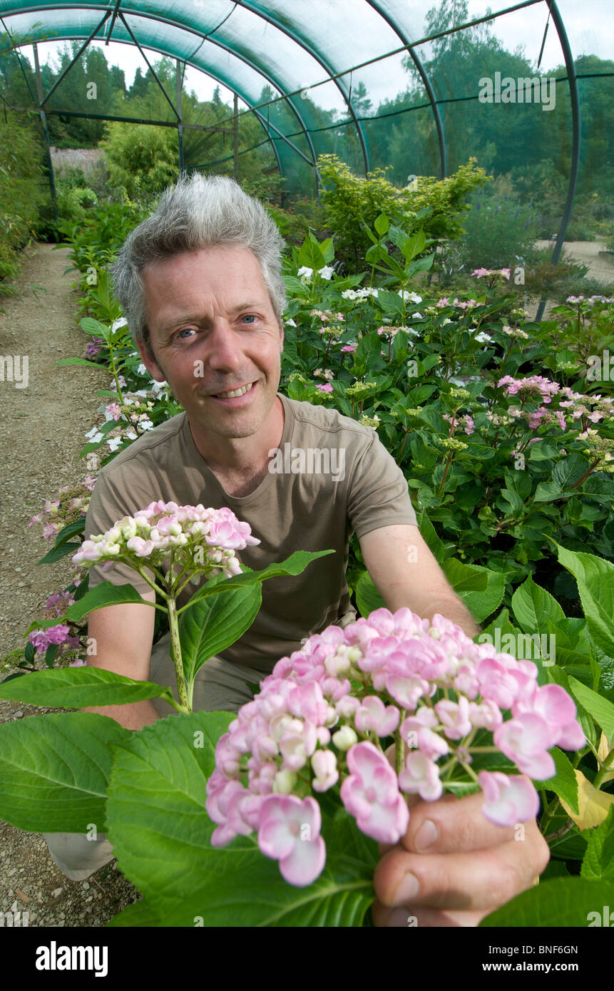 Nick Macer a sua Pan-Global vivaio piante, Frampton corte, Glos. Regno Unito Foto Stock