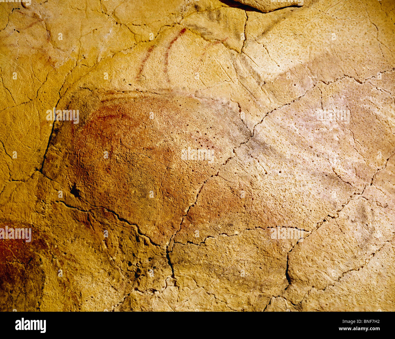 Spagna, Santillana del Mar, grotte di Altamira, pitture rupestri, arte preistorica Foto stock