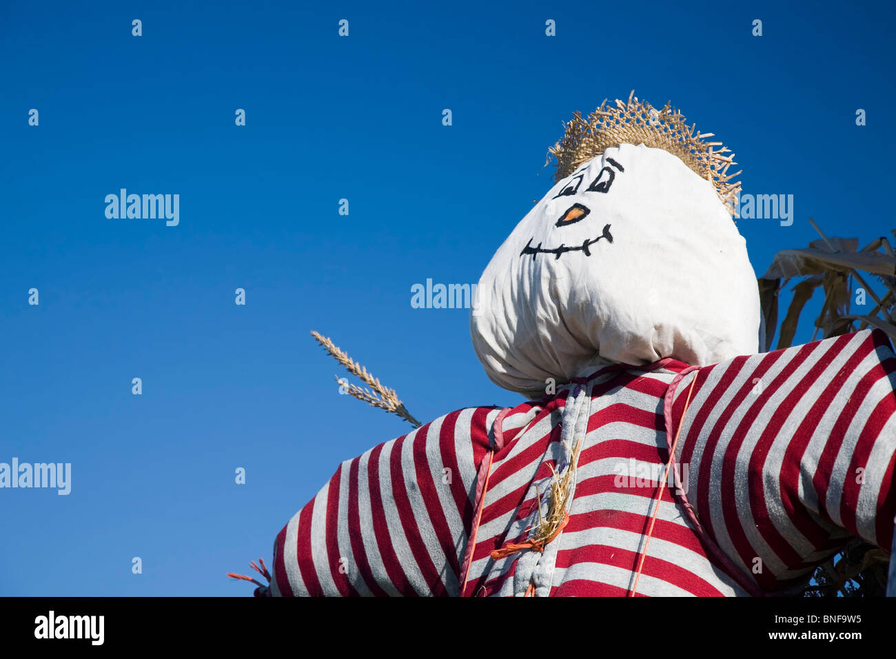 Scarecrows caserecci farciti con paglia in una impostazione di autunno. Foto Stock