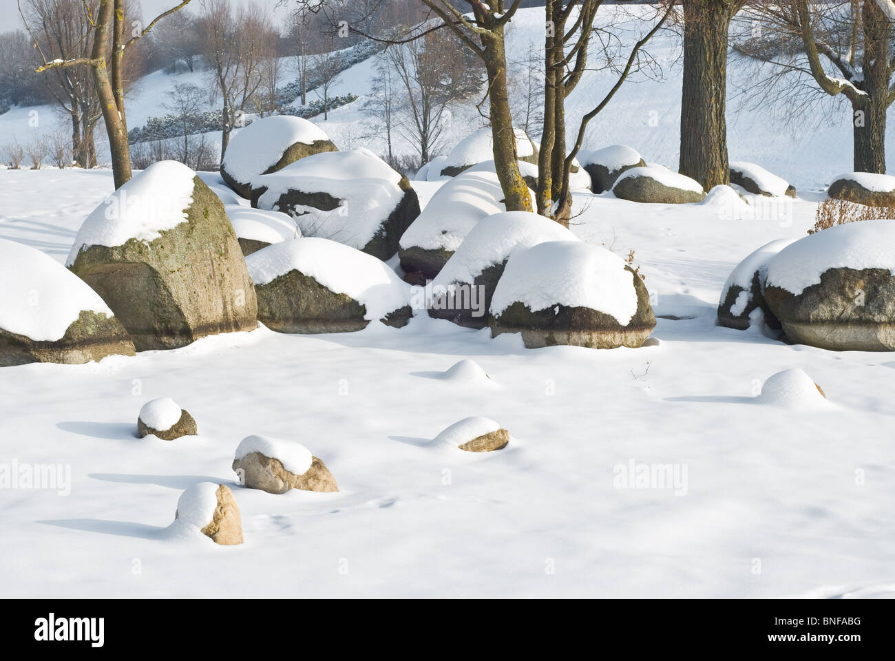 Winter Wonderland con rocce e alberi Foto Stock