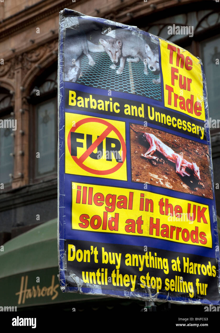 Anti commercio di pellicce protestare fuori Harrods, Londra Foto Stock