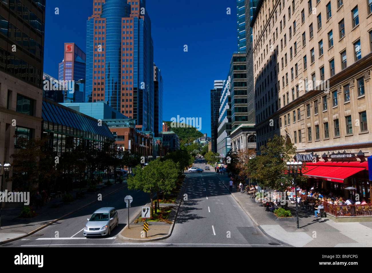 McGill avenue nel centro di Montreal, Canada Foto Stock