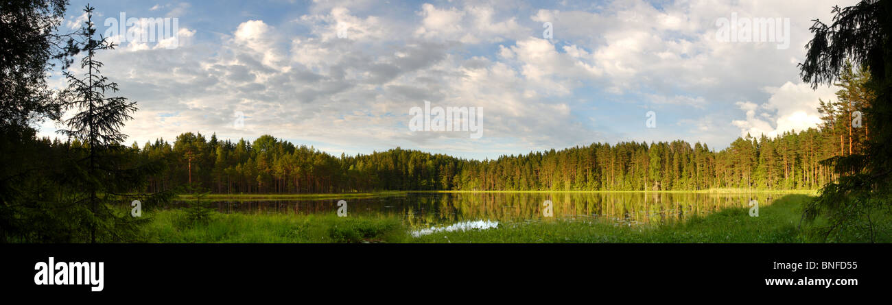 Vista panoramica sul lago di torbiera. Estonia, Europa Kirikumäe Foto Stock