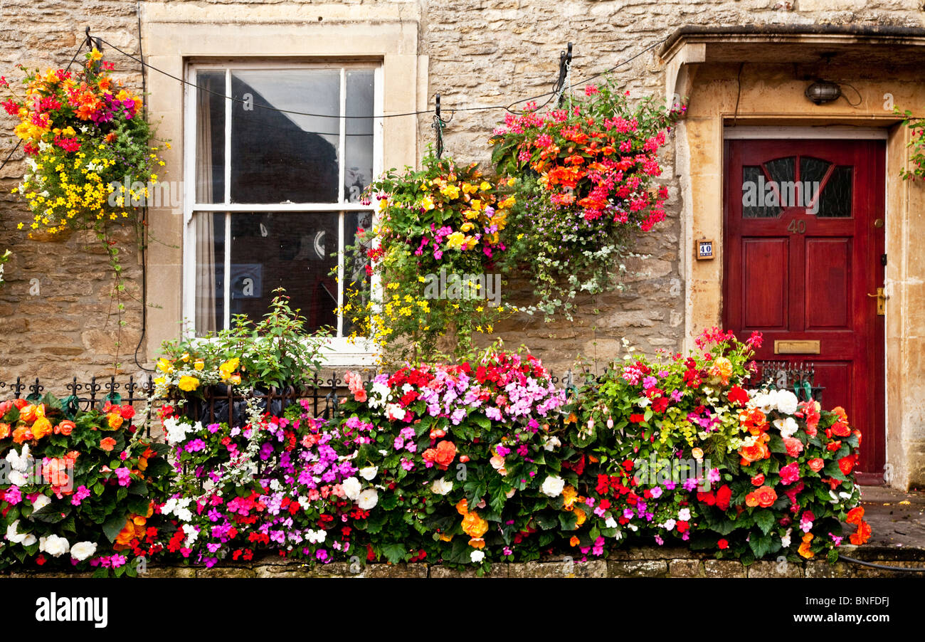 Un luminoso,display a colori dell'estate fiori biancheria da letto al di fuori di un un vecchio Cotswold stone house in Sherston, Wiltshire, Inghilterra, Regno Unito Foto Stock