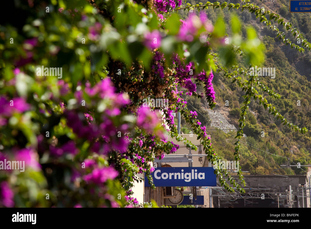 Fiori e firmare presso la stazione ferroviaria di Corniglia nelle Cinque Terre Liguria Italia Foto Stock