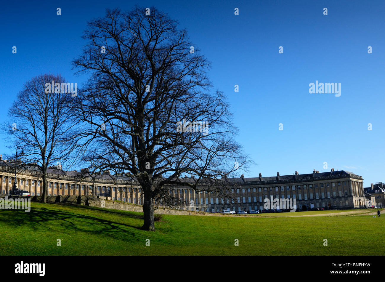 La "Royal Crescent' nella storica, pianificata città georgiana di Bath nel Regno Unito in una giornata di sole con prati aperti e una struttura ad albero nella parte anteriore Foto Stock