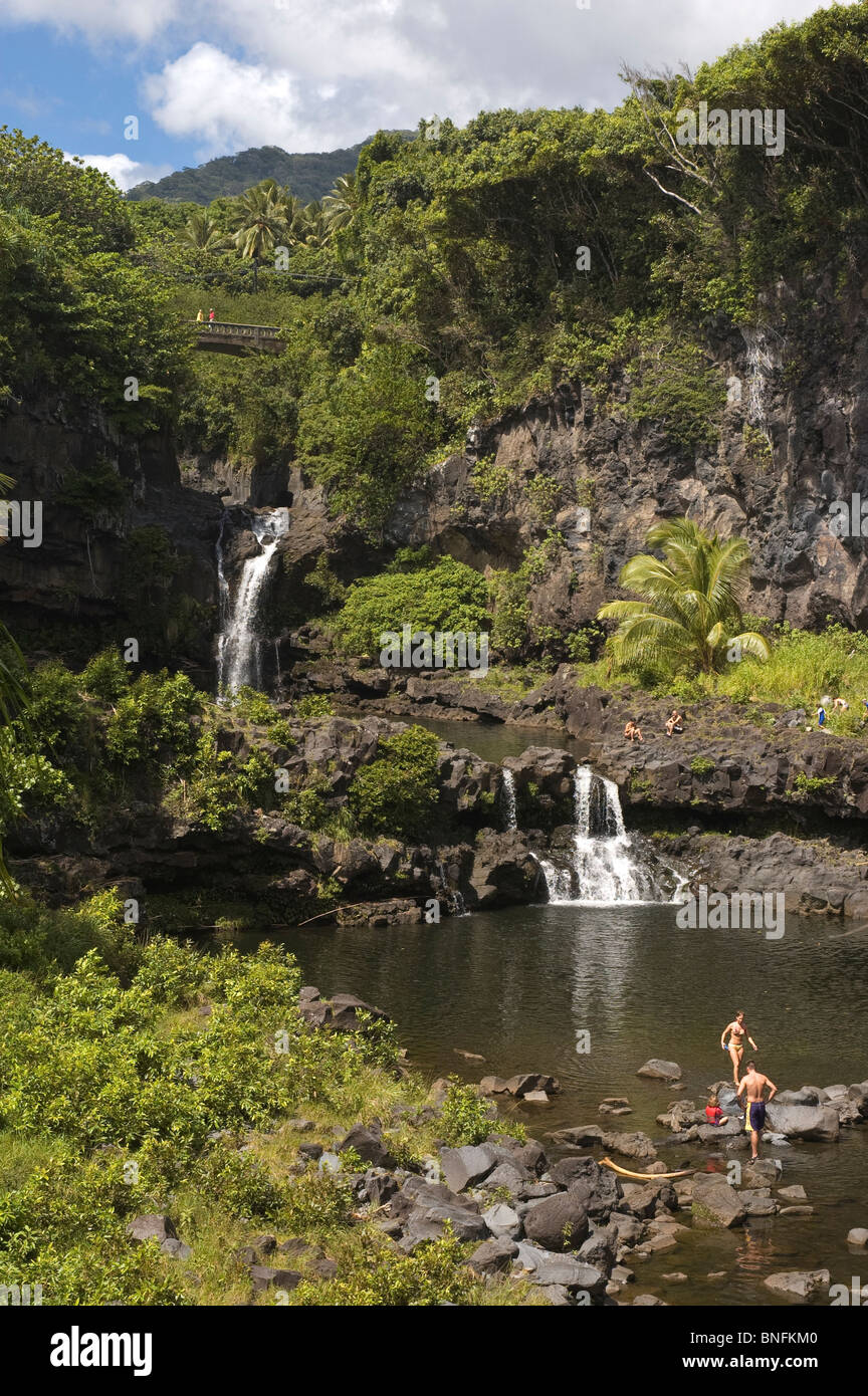 Elk284-4878v Hawaii Maui, Haleakala National Park, Kipahulu sezione, Ohea Gulch, sette Sacri Piscine Piscine inferiore cascate Foto Stock