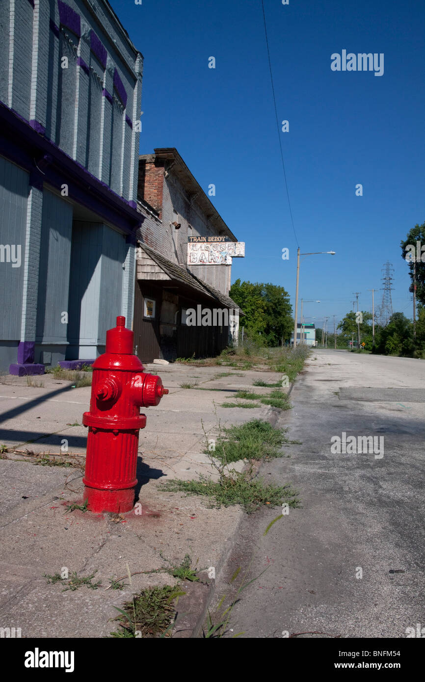 Edifici abbandonati e idranti da fuoco appena dipinti Saginaw Michigan USA, di Carol Dembinsky/Dembinsky Photo Assoc Foto Stock