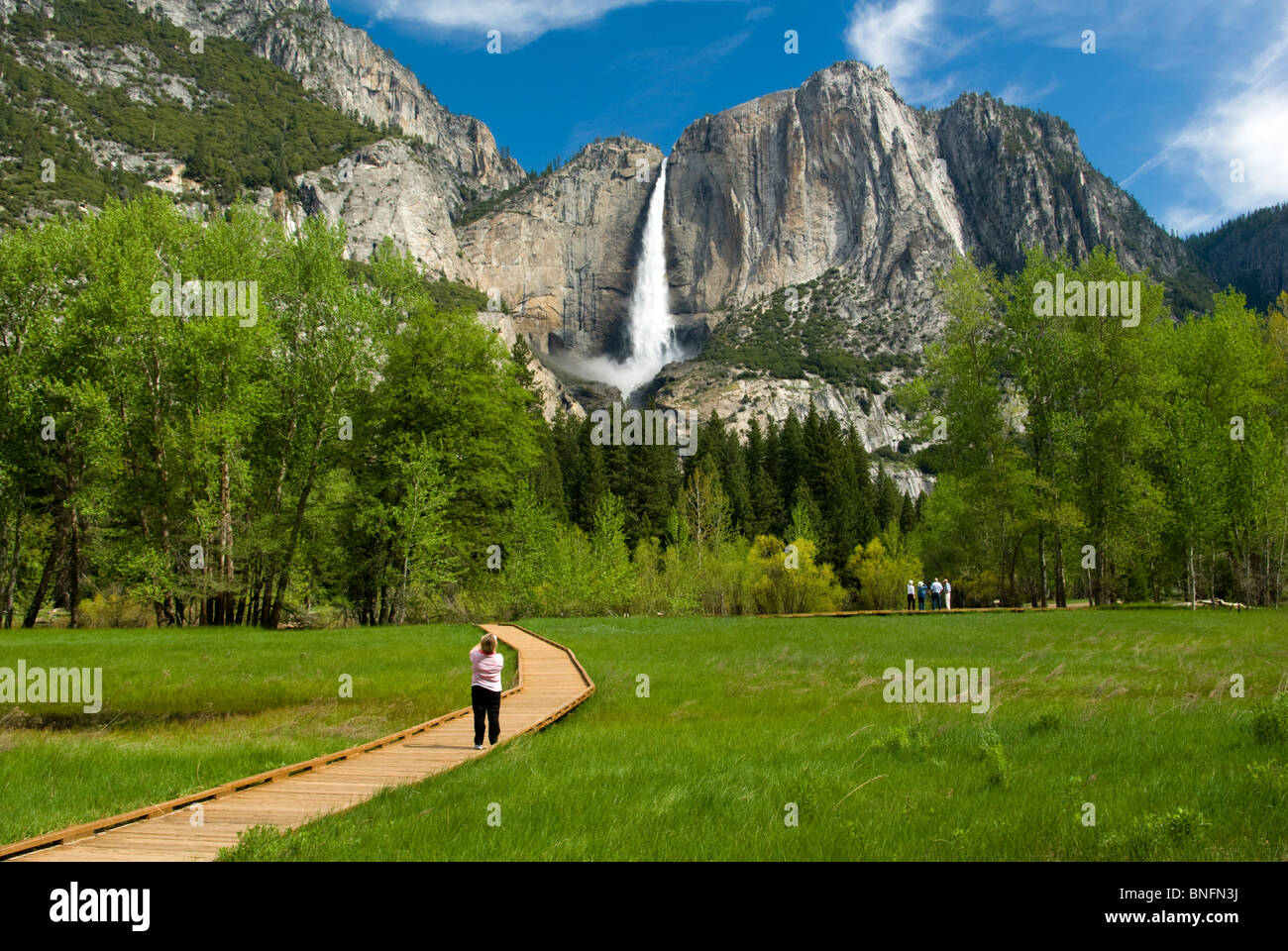 In California, del Parco Nazionale Yosemite, di Yosemite Falls, 739m, 2425 piedi, passerella in legno, donna prende foto sulla passerella in legno Foto Stock