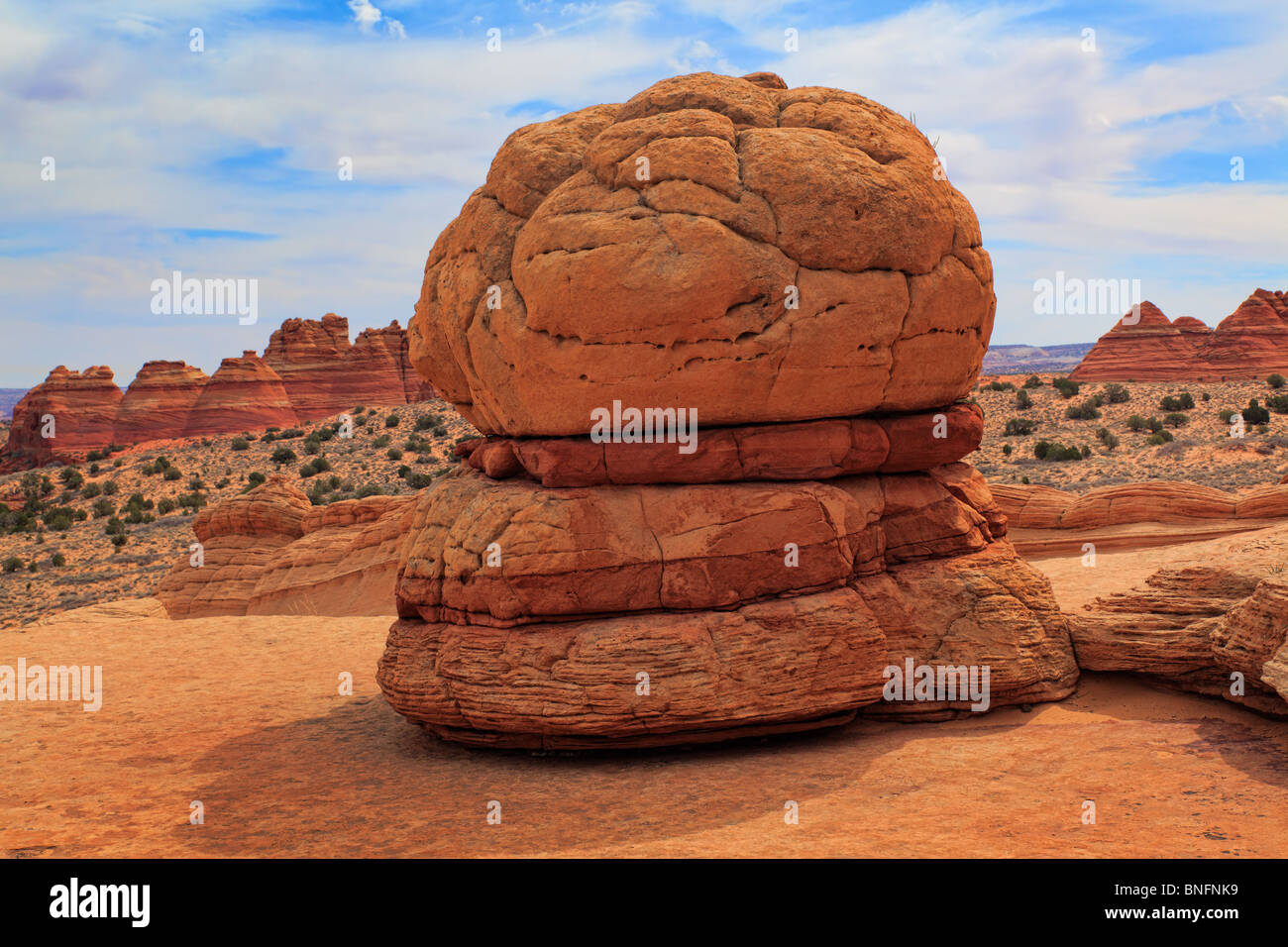 Erosi formazione di arenaria che assomiglia a un hamburger in Vermiglio scogliere monumento nazionale, Arizona Foto Stock